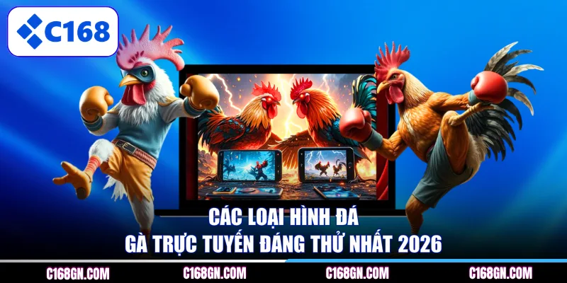Các loại hình đá gà trực tuyến đáng thử nhất 2026