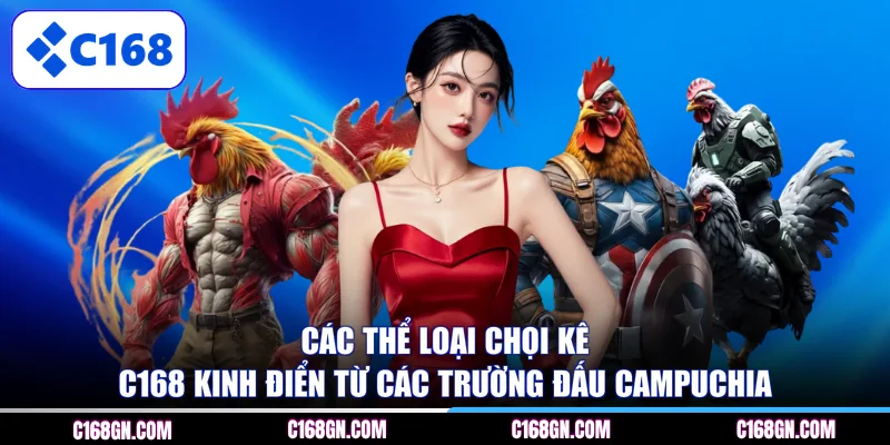 Các thể loại chọi kê C168 kinh điển từ các trường đấu Campuchia