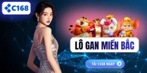 Lô gan miền Bắc