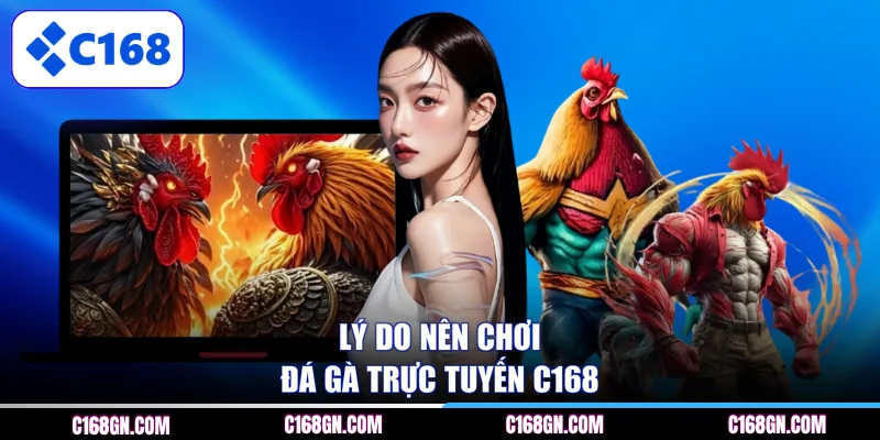 Lý do nên chơi đá gà trực tuyến C168