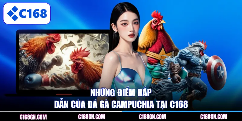 Những điểm hấp dẫn của đá gà Campuchia tại C168