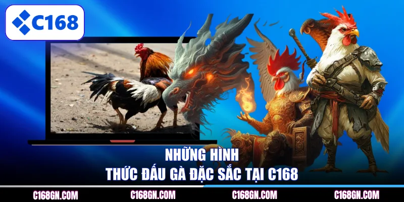 Những hình thức đấu gà đặc sắc tại C168